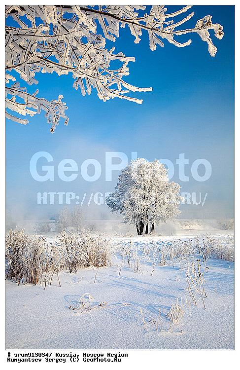 ������, ���������, �����, ���, ����, �������, �������, ����, �����������, ������, ���������, ���������, ����, �������, ����, ���, �����, ������, ���������� �������, ������, �������, ����������, ����, ����, ��������� ����, ���������, �����, �������������, �������, �����, ������, �����, ������, �����