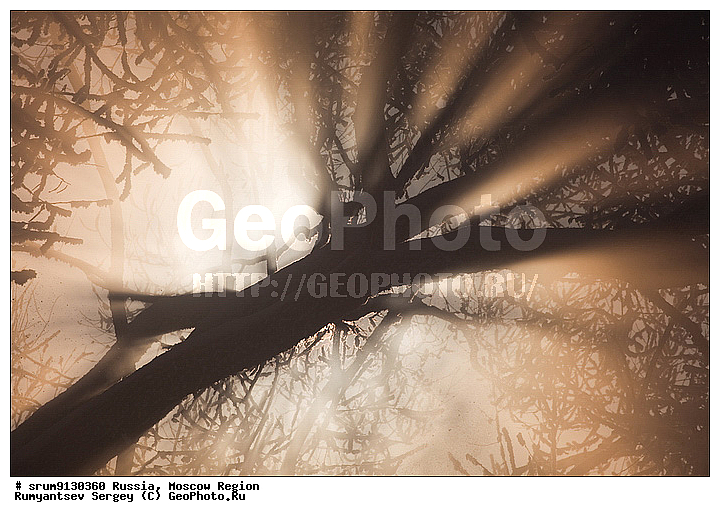 ������, ���������, �����, ���, ����, �������, �������, ����, �����������, ������, ���������, ���������, ����, �������, ����, ���, �����, ������, ���������� �������, ������, �������, ����������, ����, ����, ��������� ����, ���������, �����, �����, �������������, �������, ������, �����, ������, �����