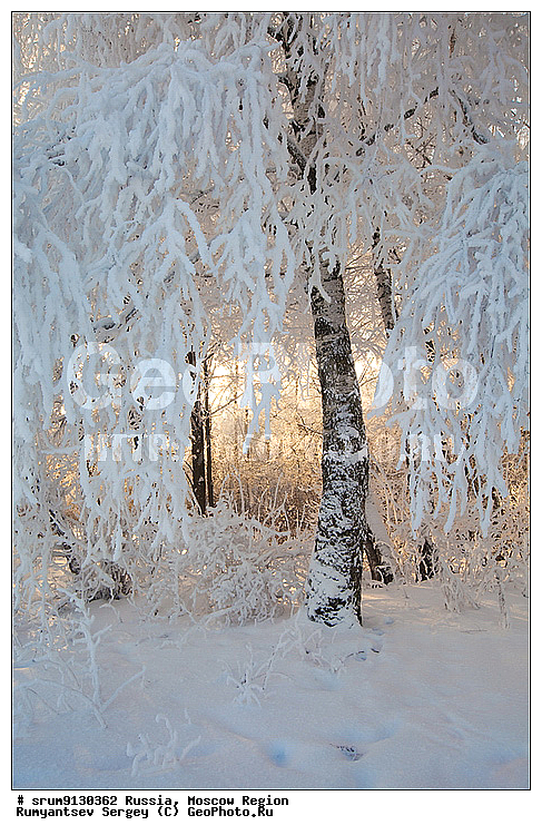 ������, ���������, �����, ���, ����, �������, �������, ����, �����������, ������, ���������, ���������, ����, �������, ����, ���, �����, ������, ���������� �������, ������, �������, ����������, ����, ����, ��������� ����, ���������, �����, �������������, �������, �����, ������, �����, ������, �����