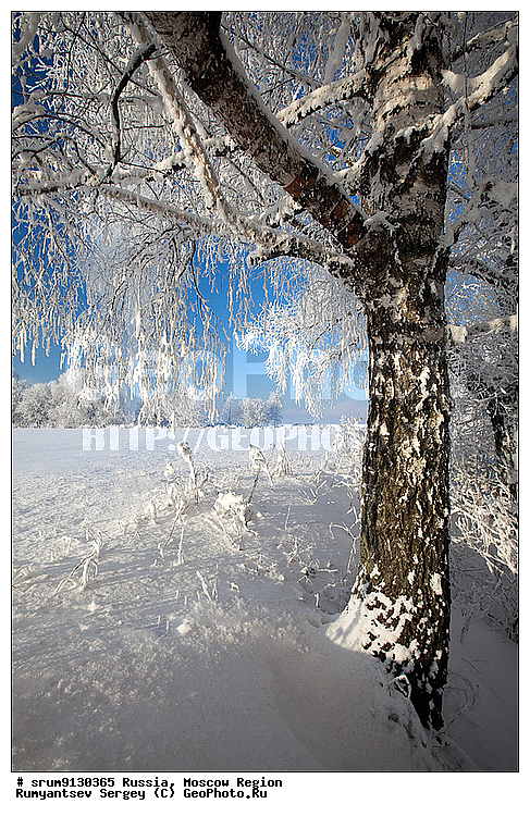 ������, ���������, �����, ���, ����, �������, �������, ����, �����������, ������, ���������, ���������, ����, �������, ����, ���, �����, ������, ������, �����������, �������, ����������, ����, ����, ��������� ����, ���������, �����, �������������, �������, �����, ������, �����, ������, �����