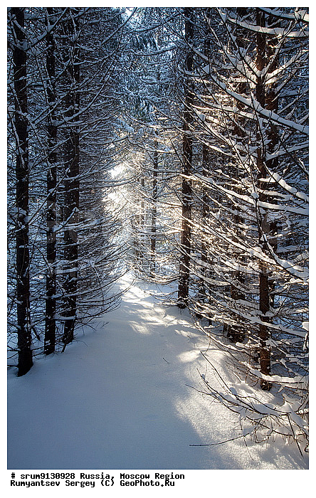 �����������, ������; ������; �����; ���; ����; �������; ����; ���������; ���������; ���������; �����; ���; ������; �������; ���; ����; �����������; ��������� ����; ������; ����������; ����; �������; ������; �������; �������; �������������; ���������; �����; �����;, ����, ���, �����, ����, �������, �����