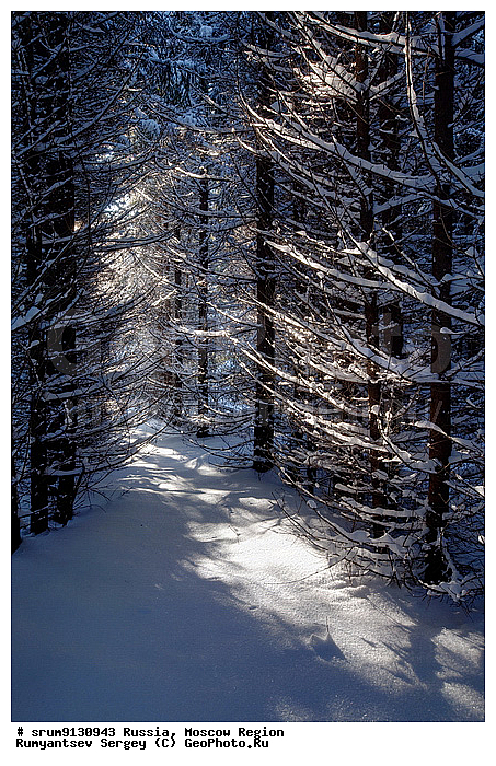 �����������, ������; ������; �����; ���; ����; �������; ����; ���������; ���������; ���������; �����; ���; ������; �������; ���; ����; �����������; ��������� ����; ������; ����������; ����; �������; ������; �������; �������; �������������; ���������; �����; �����;, ����, ���, �����, ����, �������, �����