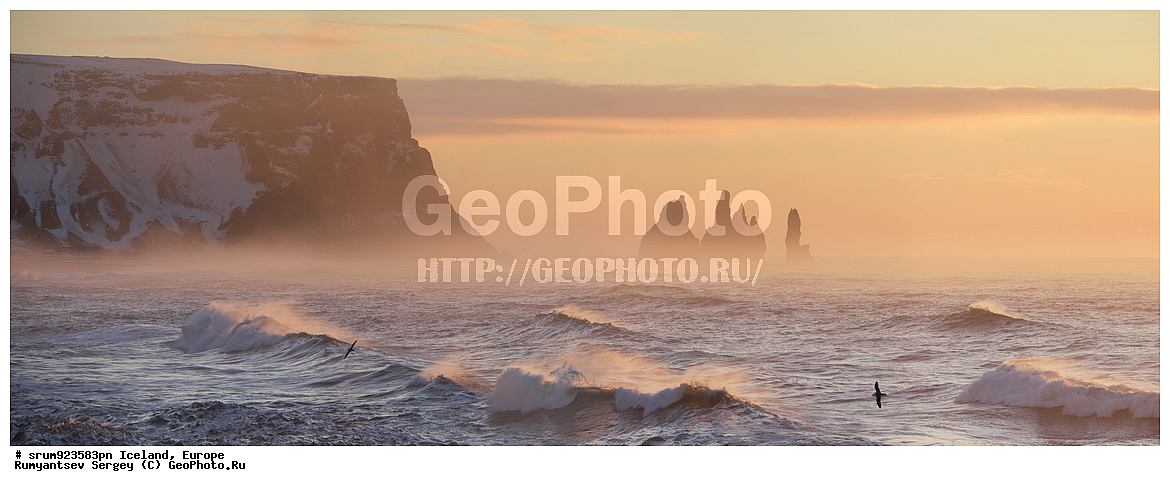 ��������, ������, ������