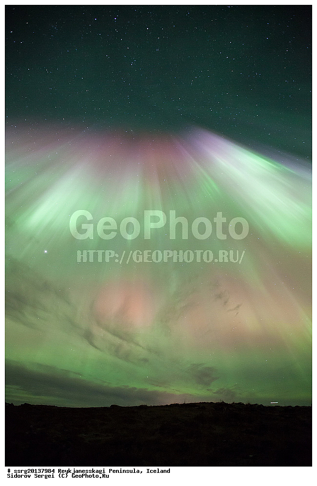 ��������, ���������� ���������, �����, ����� ��������