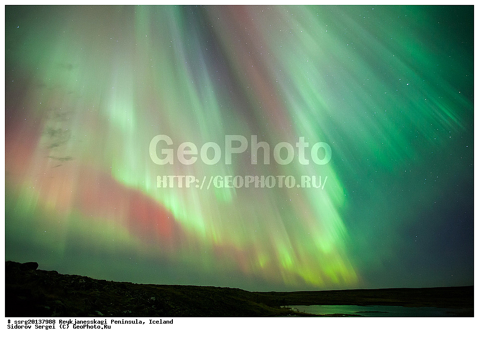 ��������, ���������� ���������, �����, ����� ��������