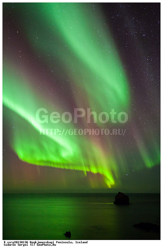 ��������, ���������� ���������, �������������