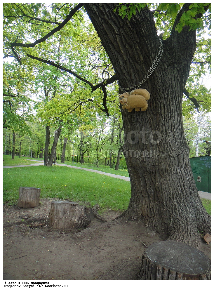 ���������, ������, ��� ������, ���