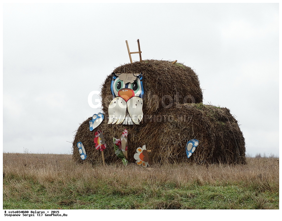 ����������, ��������, ���������� ��������, ����, 