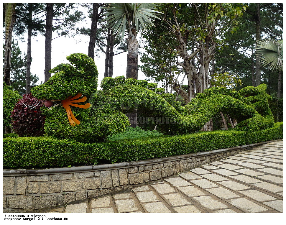 �������, ���������� �������, ����, ���-��������� ����