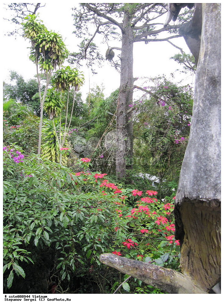 �������, ���������� �������, ����, ���-��������� ����, ���, �������