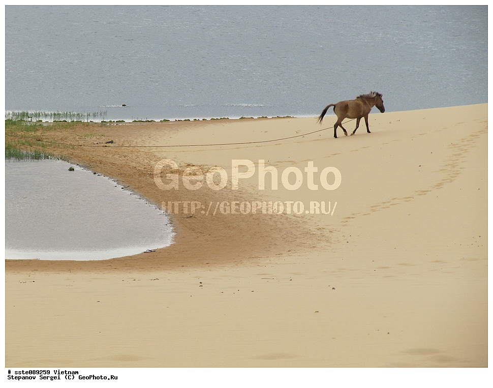 �������, ���������� �������, ����, ���-��������� ����