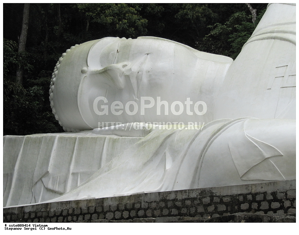 �������, ���������� �������, ����, ���-��������� ����