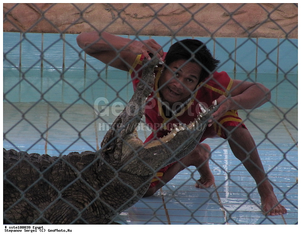 ������, �������� ����������, �����������