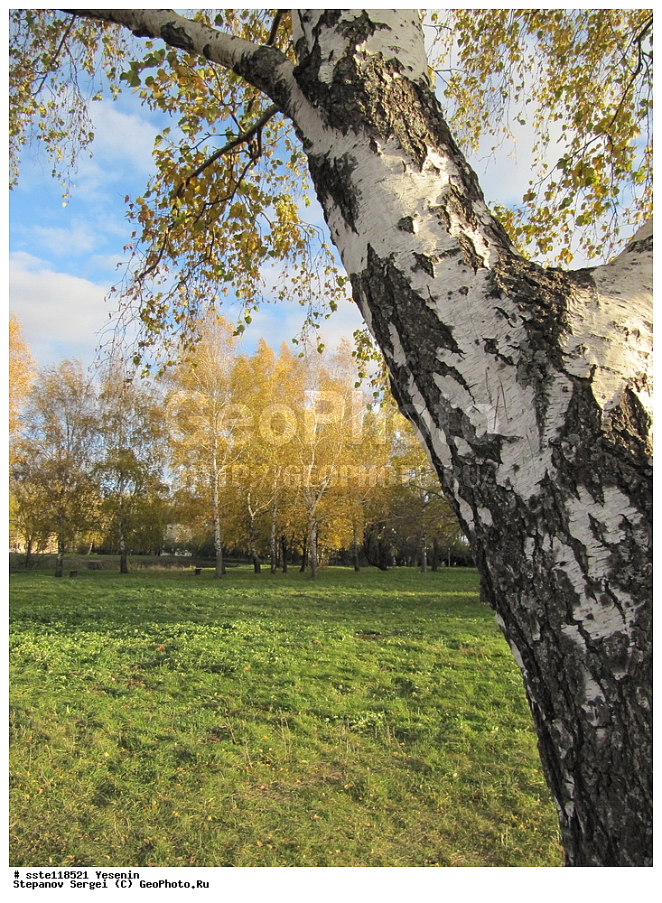 ������, ����, ������, ������, �����, ������