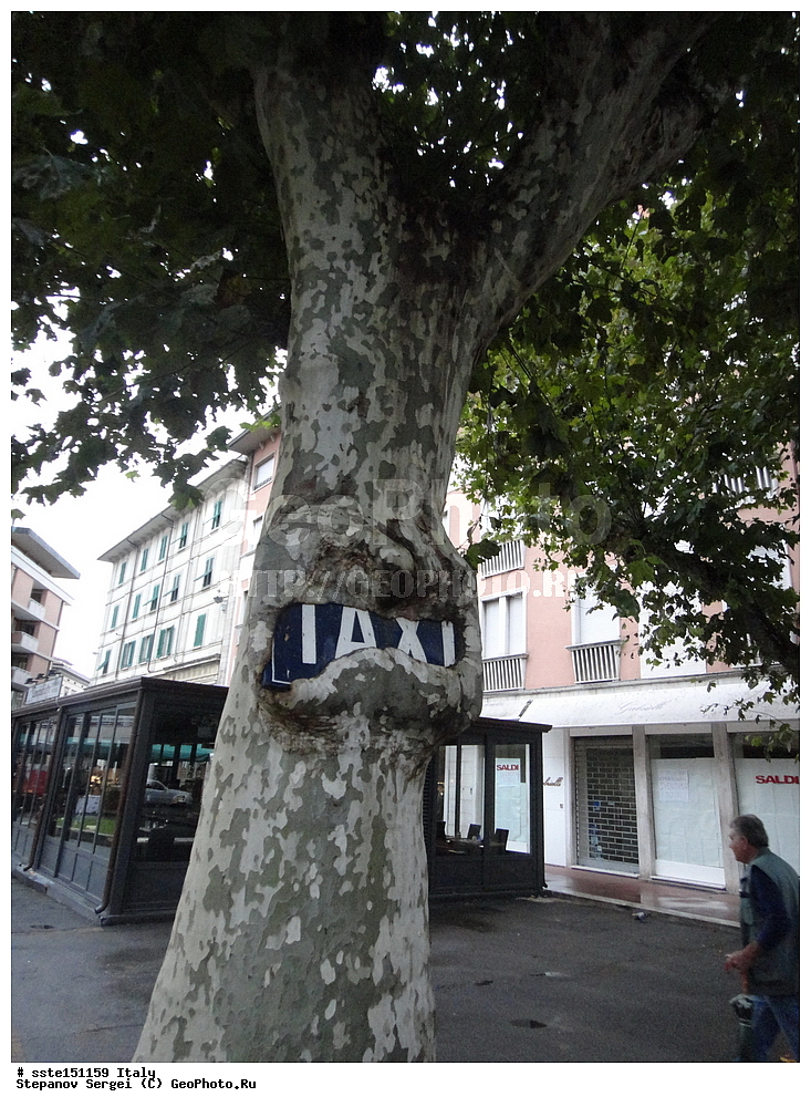 ������, ������, ����������� ����������, ����� ������, ���������������, �����, ������ ������