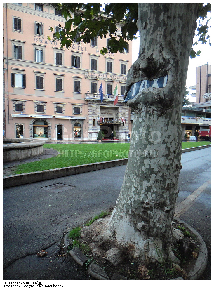 ������, ������, ����������� ����������, ����� ������, ���������������, �����, ������ ������