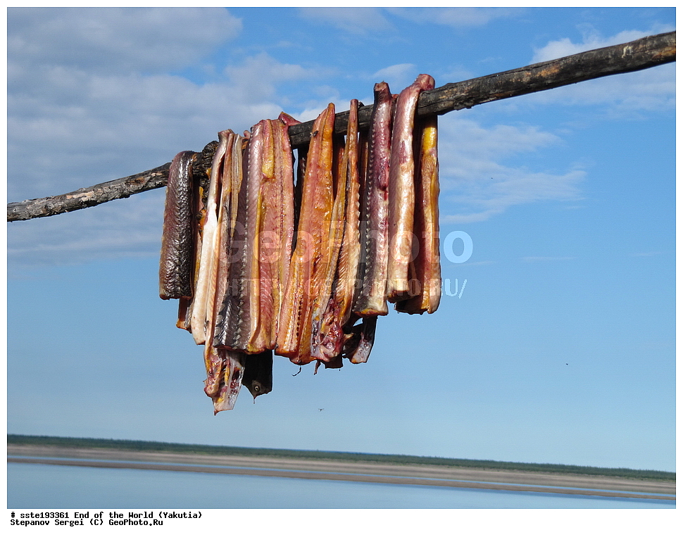 ������, ���������� ����, ������, ���� �����, ��������������� ����������� �����, ���� ����, ����, ���� �������