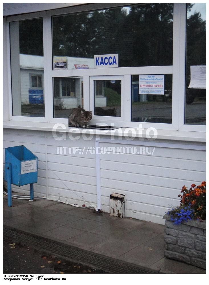 �������, �������� �������, ���������, �����, ������, �����