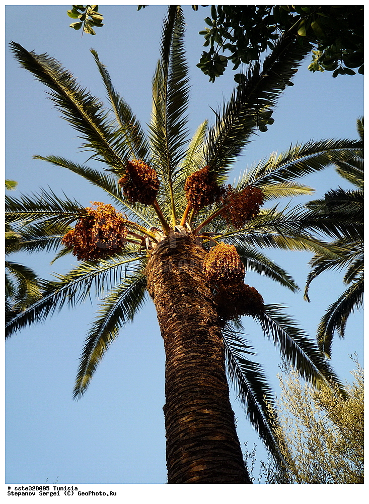 �����, ��������� ����������, �������� ������, ������, ������