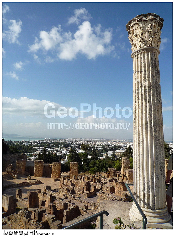 �����, ��������� ����������, �������� ������, ������