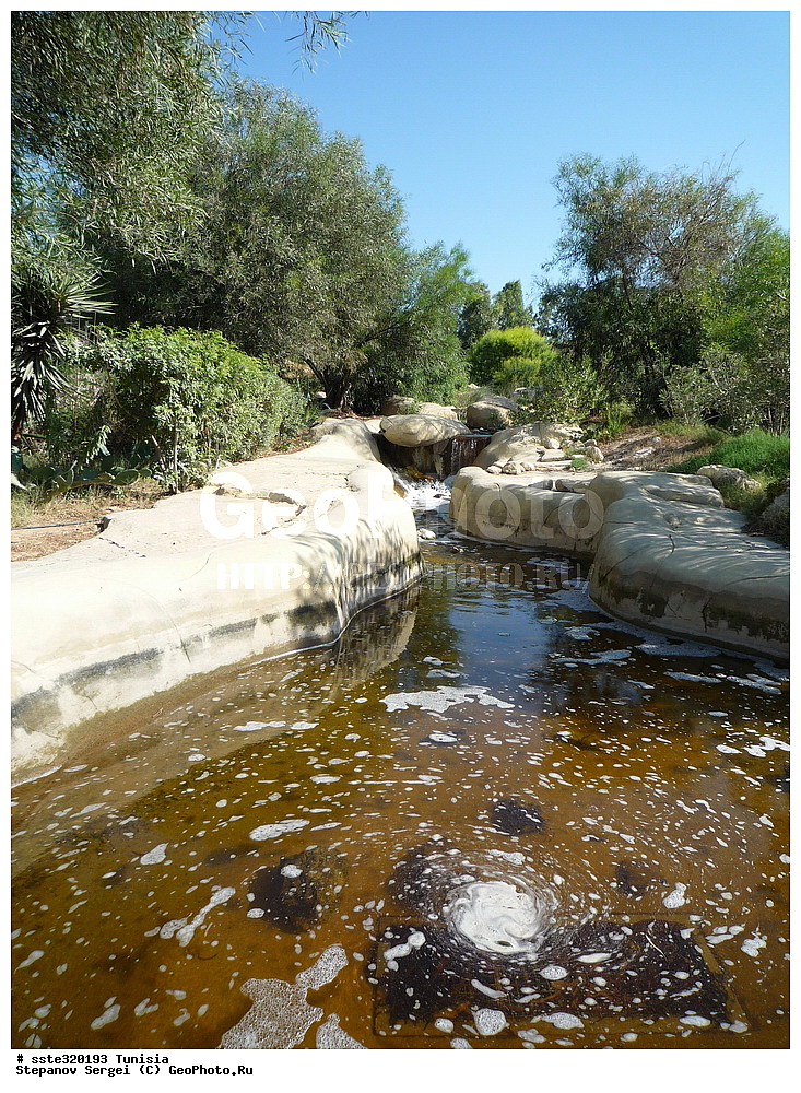 �����, ��������� ����������, �������� ������, ������