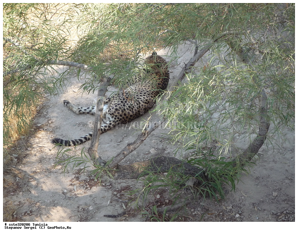 �����, ��������� ����������, �������� ������, ������, 
��������, ��������, �������������, �������������, �����, �����, �������, ������, XYZ, �������, ������,  �������, ������, �������������
