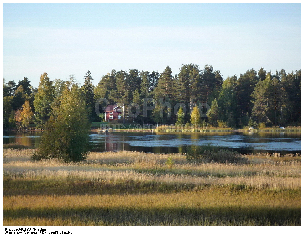 ������, ������, �����, ������