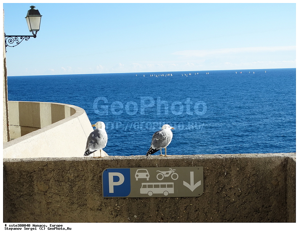 ������, ������, ��������� ������, ����, �����