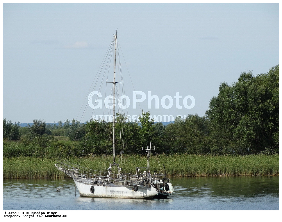 ����, ������, ����, ����