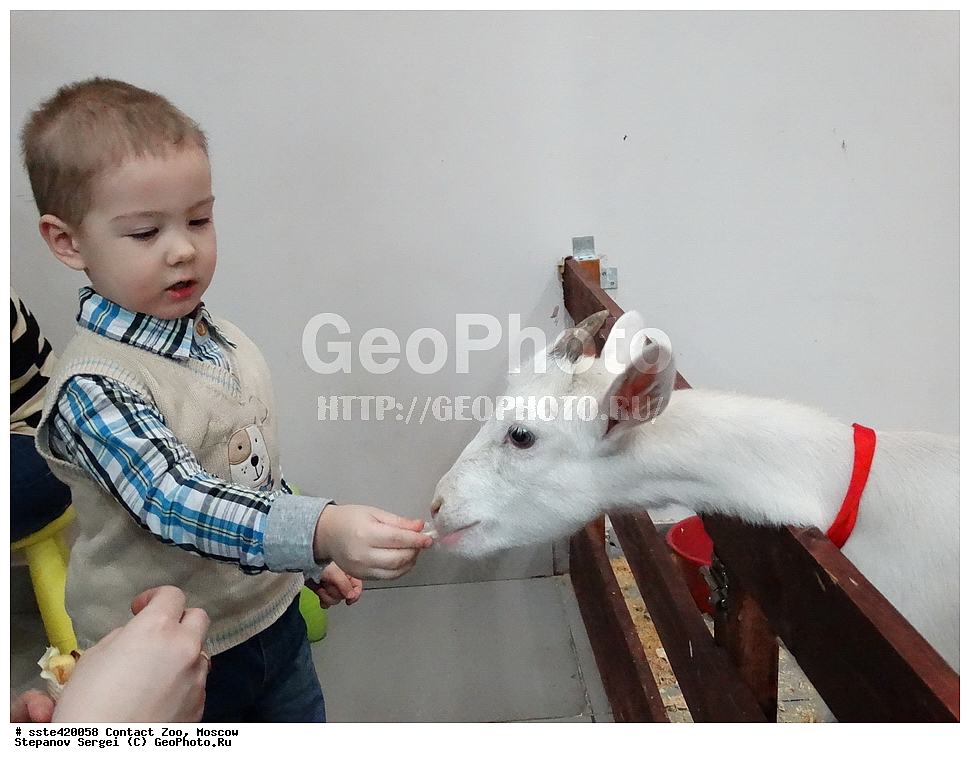 ���������� �������, ������