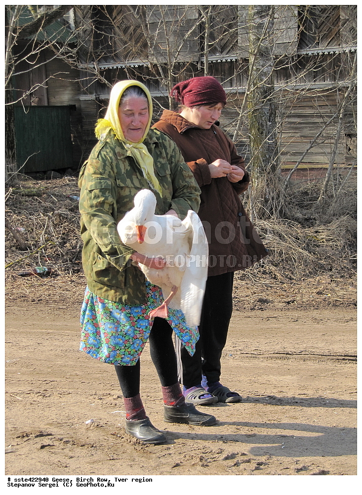 ����, ��������� �����, �������� �������