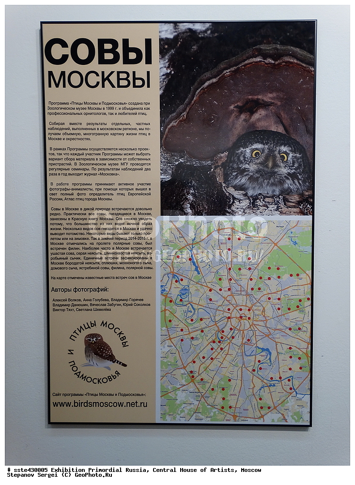 ��������, ������������ ������, ���, ������