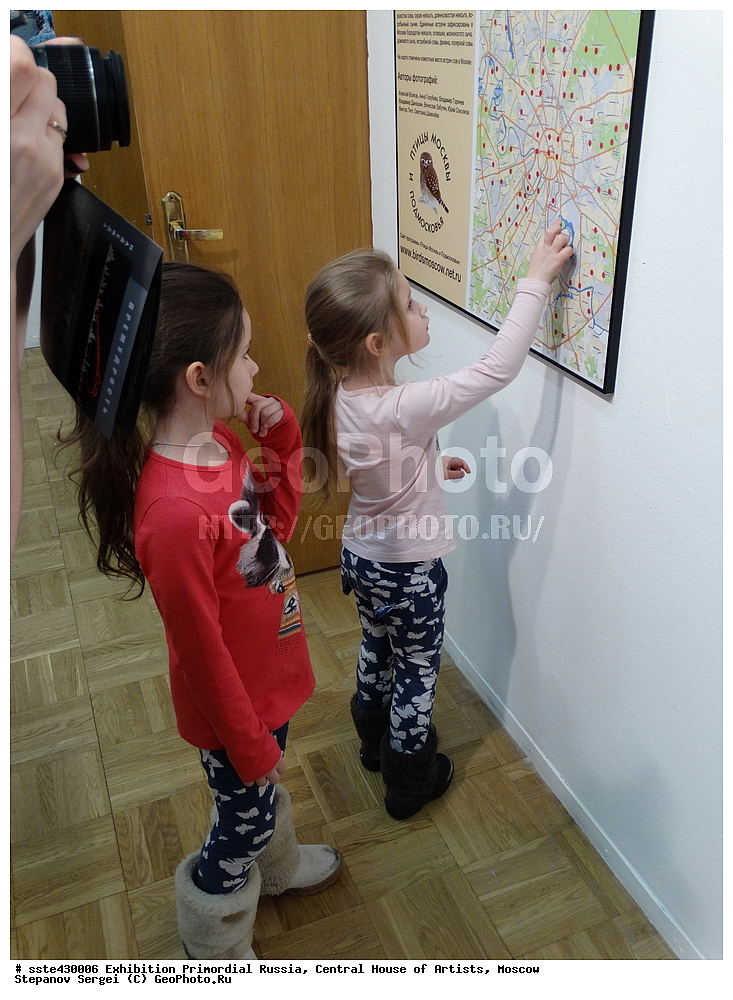 ��������, ������������ ������, ���, ������