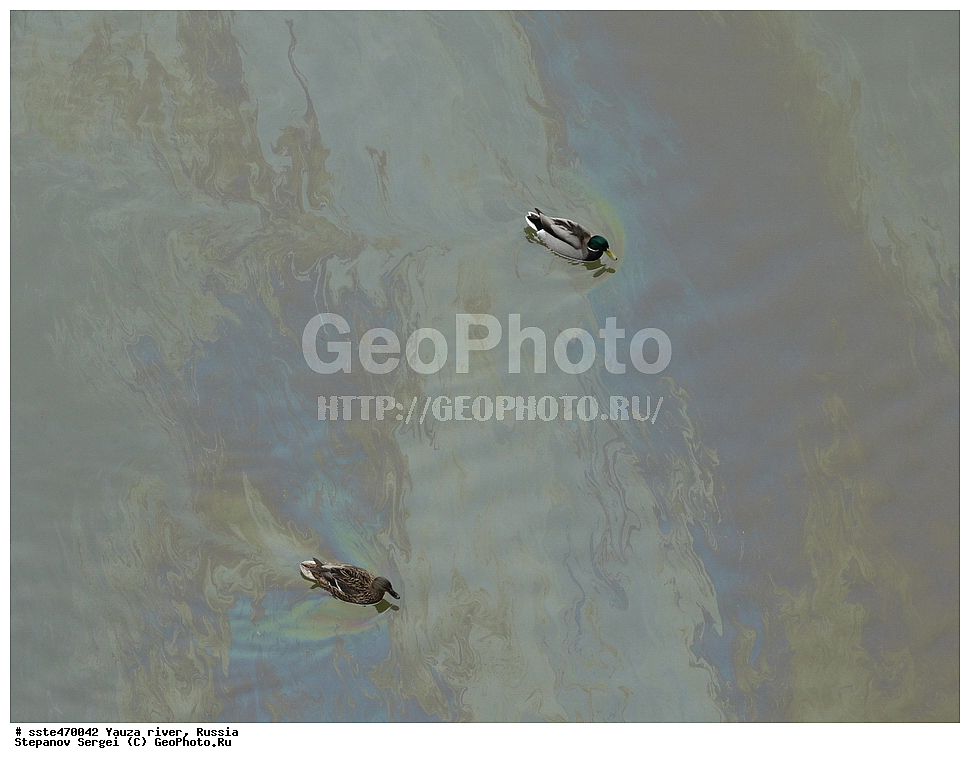 ����, ����, ������, ���������, ������, 2016