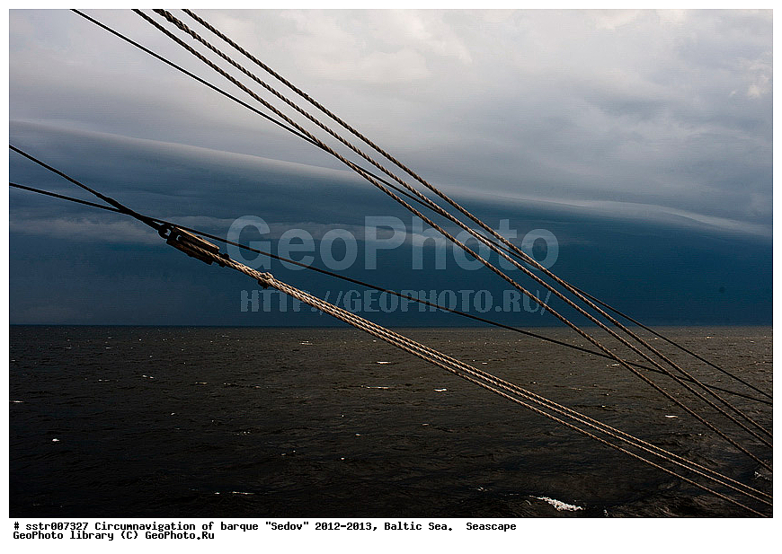 �����������, ������������ ��������, ���, ����, �����, "�����", ������ �����, ��������,  ��������,  �������, ���������� ����, ��������, ������������, ������� ������

, �����, ����, ����, ������, �������� ����, �������������, ��������