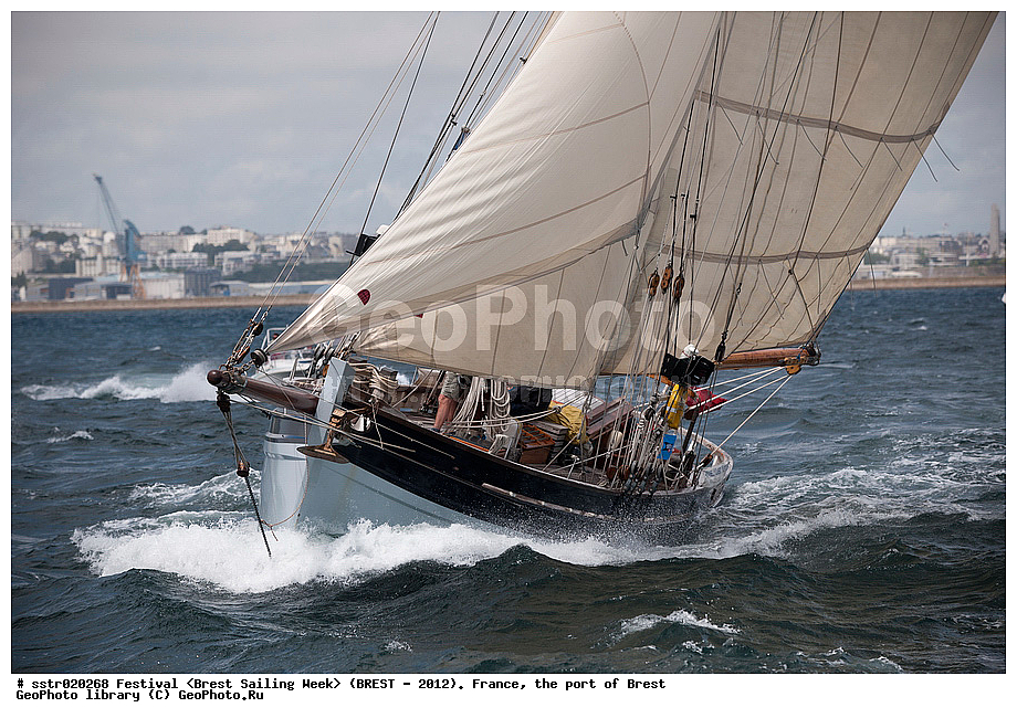  ����, ������, ���������, ���������, ����� 2012, �������� ���������, �������� ������, ��������, �����, ����