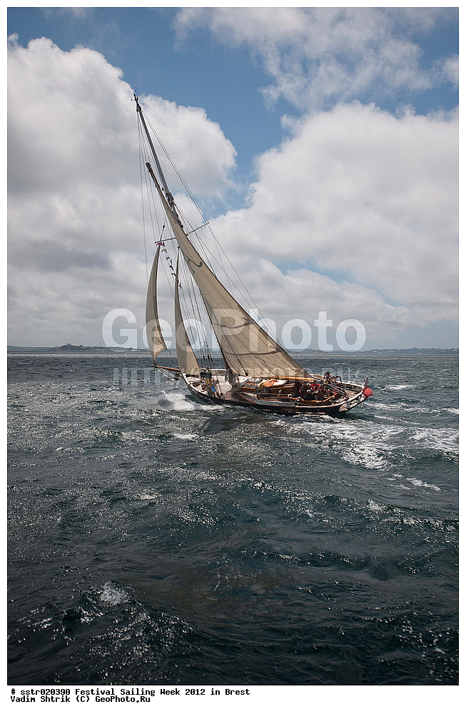 ���������, �������� ������, �����, 2012, �������, �����