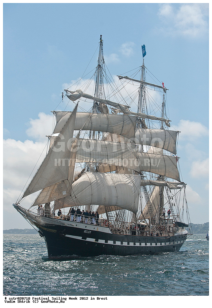 ���������, �������� ������, �����, 2012, �������, �����