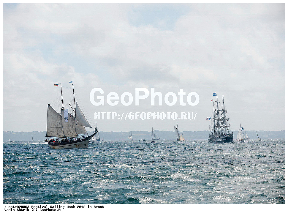 ���������, �������� ������, �����, 2012, �������, �����