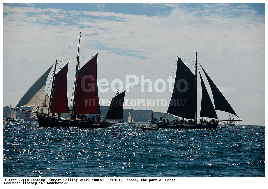  ����, ������, ���������, ���������, ����� 2012, �������� ���������, �������� ������, ��������, �����, ����