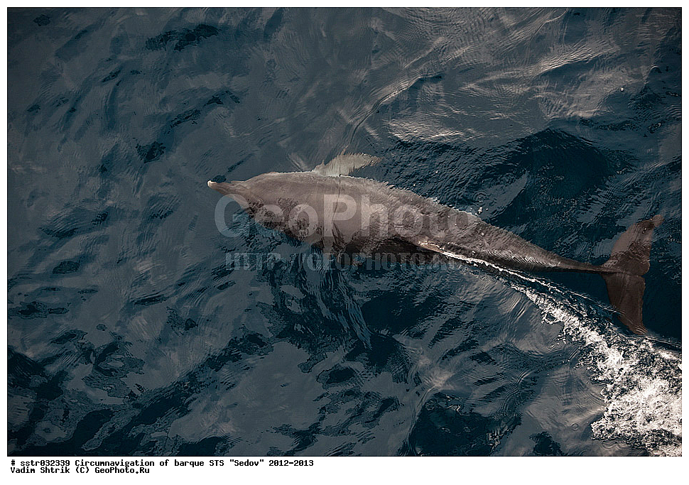 ���������, ����� ���������, ����, ������� ����, �����������,  ���� "�����", �����, ��������,  �����, ������� ������, ������, ��� �����