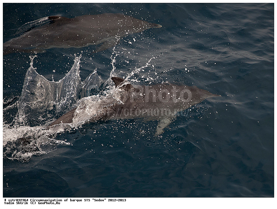 ���������, ����� ���������, ����, ������� ����, �����������,  ���� "�����", �����, ��������,  �����, ������� ������, ������, ��� �����