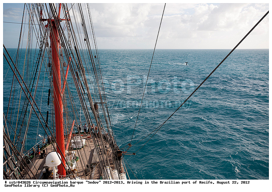 ������������ ��������, ����, "�����", 2012-2013 ��,  ��������, �����, ��������, 22 ��� 2012, ���, �����