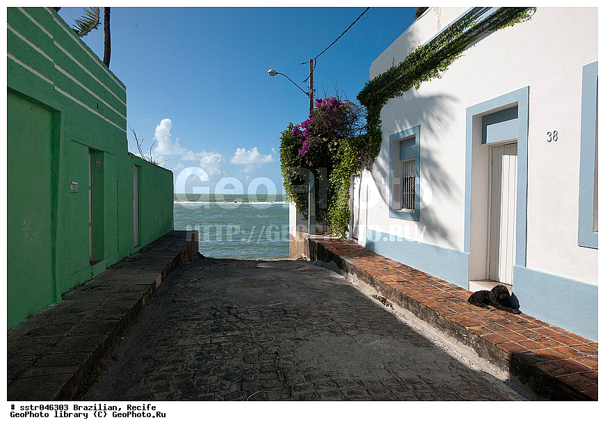 ������������ ��������, ������, ��������, , ������, �����, ����, ���������, �����, ��������