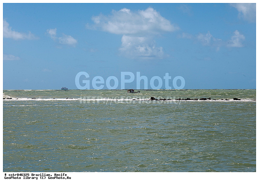 ������������ ��������, ������, ��������, , ������, �����, ����, ���������, �����, ��������