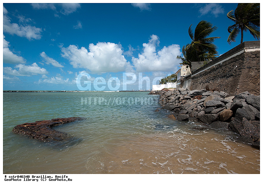 ������������ ��������, ������, ��������, , ������, �����, ����, ���������, �����, ��������