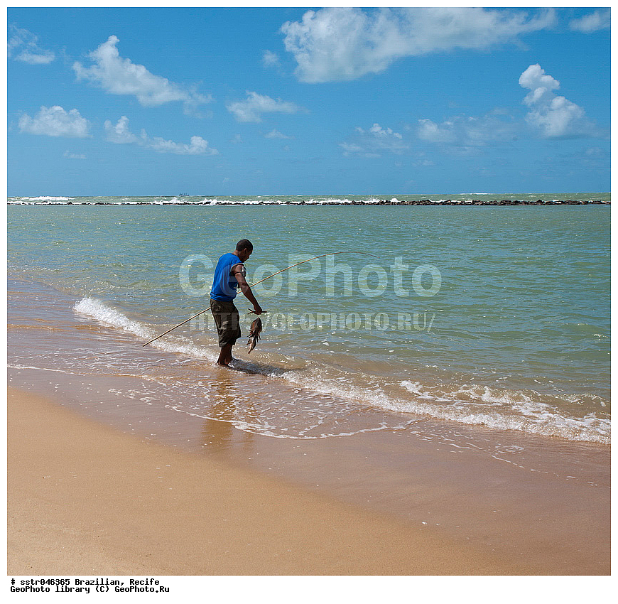 ������������ ��������, ������, ��������, , ������, �����, ����, ���������, �����, ��������