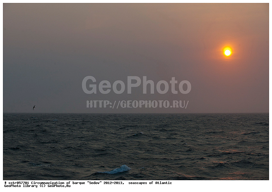 ������������� �����, �����,  ����, �������� ����, �����, ������, �����, �������� ����, ����, �������������, ��������, ��������� ����� �������, ����������� ������� 