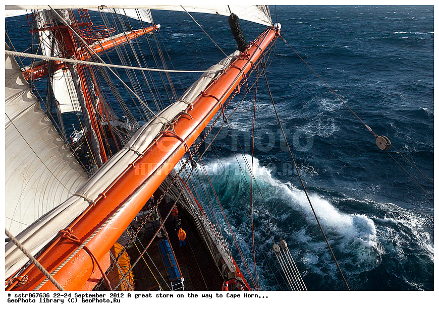  �����, �����, �����, �������� �����, �����, ����, ���������, ���� ������������� �����, ��� ����, ������������ �������, ����������� �������, ���������, �������, ����, �����, �������