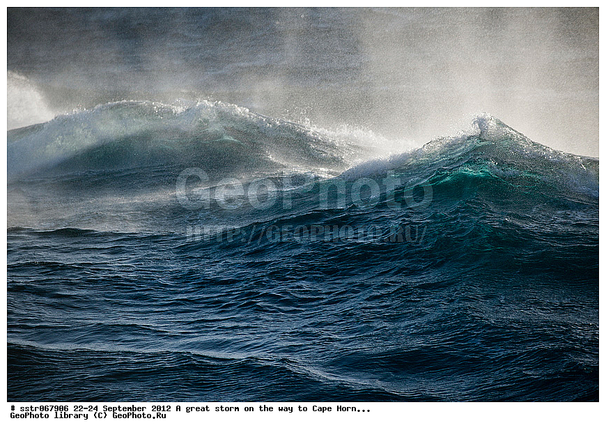 �����, �����, �����, �������� �����, �����, ����, ���������, ���� ������������� �����, ��� ����, ������������ �������, ����������� �������, ���������